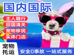 武夷山机场托运国际宠物托运 【国